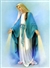 L'immacolata Concezione